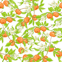 Mandarin, tangerine tree branch with fruits, flowers and leaves. Seamless pattern, background. Colored vector illustration. Isolated on white background..