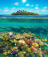 Naklejka na ściany i meble tropical beach with beautiful underwater world