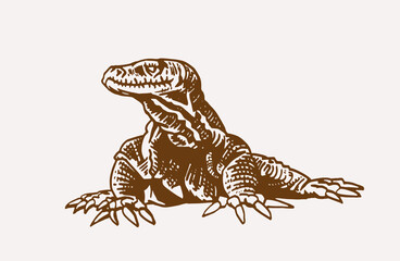 Vector sepia illustration of varan