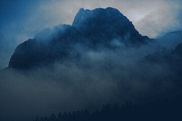Foggy Wilderness Bluish Grading Background
