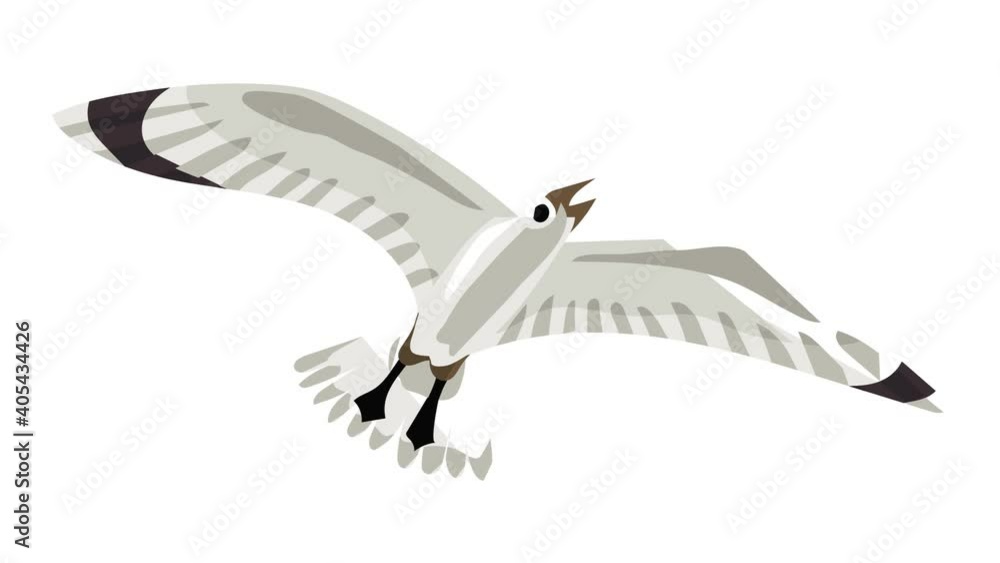 Poster seagull icon animation best object on white background