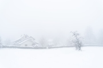 Winter snow landscape in the mountains. The house the a tree in the fog. . High quality photo