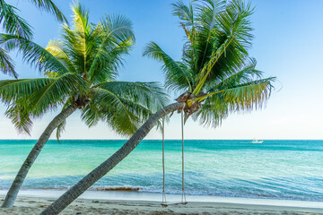 Fototapeta na wymiar Chairs and umbrella In palm beach - Tropical holiday banner. White sand and coco palms travel tourism wide panorama background concept and swing under tree