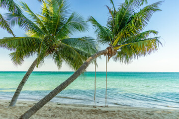 Chairs and umbrella In palm beach - Tropical holiday banner. White sand and coco palms travel tourism wide panorama background concept and swing under tree