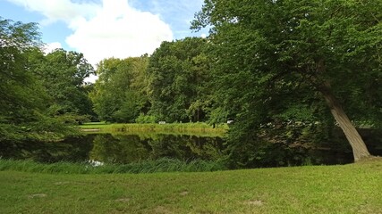 lake in the park