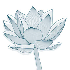 Linear vector decorative pattern of lotus flower. Graphics