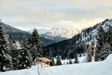Schlitten fahren in den Bergen im Winter am Spitzingsee 