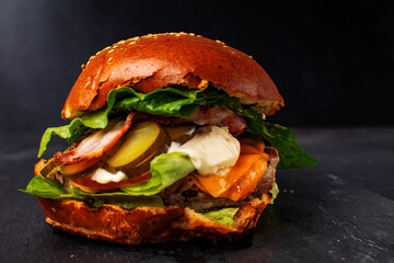 Fresh tasty burger with crunchy french fries on dark background