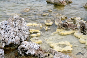 beautiful Mono Lake Tufa State Natural Reserve in eastern California on a cold December day, tufa...
