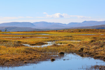 Forollhogna national park, Norway