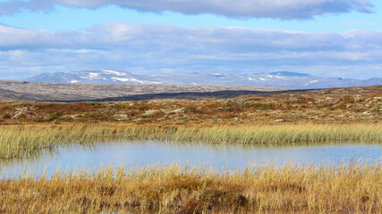Forollhogna national park, norway
