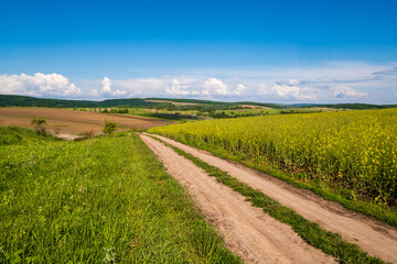 Fototapeta na wymiar Spring countryside view with dirty road, rapeseed yellow blooming fields, village, hills. Ukraine, Lviv Region.