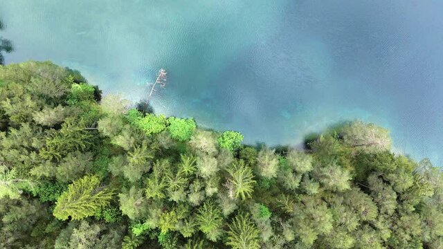 ein alpen see mit einer bewaldeten insel umgeben von blau t&uuml;rkisen wasser von oben betrachtet