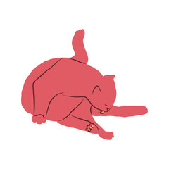Cosy hand drawn cat. Washing. Vector illustration. Editable lines. Colored.
