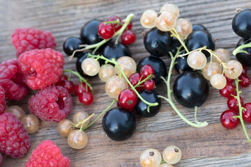 Berry fruits like strawberries, red currants, raspberries and black currants on wood table.