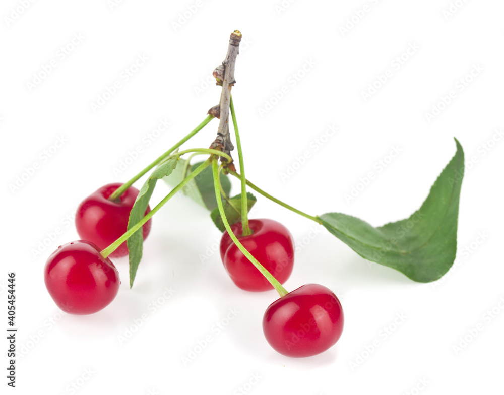 Poster Red juicy ripe cherry isolated on white background.