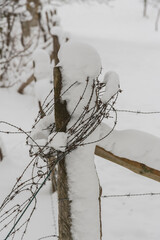 Stacheldraht am Zaunpfahl im Winter