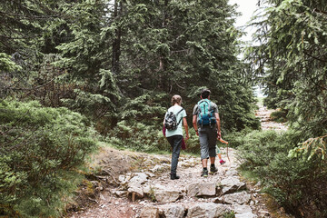 Obraz premium Family with backpacks hiking in a mountains actively spending summer vacation together walking on forest path talking and admiring nature mountain landscapes