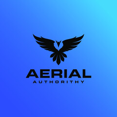 Eagle Flying For Aerial Authority Brand Logo Design Graphic Concept