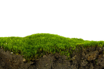 Soil slice and green moss isolated on white background.