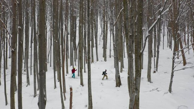 Splitboard and Ski touring Concept. Uphill in a line in the mountains forest woods.  Winter adventure and breath taking view. Split boarding in the forest, on white powder day. Winter hike and travel.