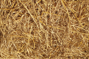 Dry rice straw texture for background and design, hay bale pattern.