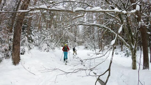 Splitboard and Ski touring Concept. Uphill in a line in the mountains forest woods. Winter adventure and breath taking view. Split boarding in the forest, on white powder day. Winter hike and travel.