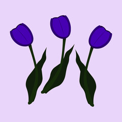 Vector isolated bouquet of purple tulips on a purple background. Design element for textile, wallpaper, print, poster, postcard