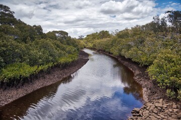 Scenes from Bulimba Creek in Lota, Queensland, Australia
