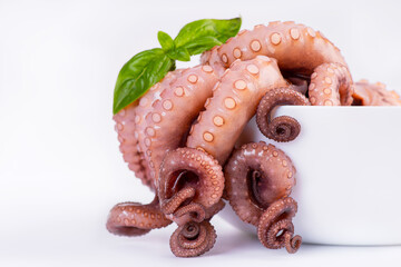 tentacles of octopus on white background.Close up of raw octopus a white plate on white background.Fish food. Seafood. Delicious sea food. © Nataliia