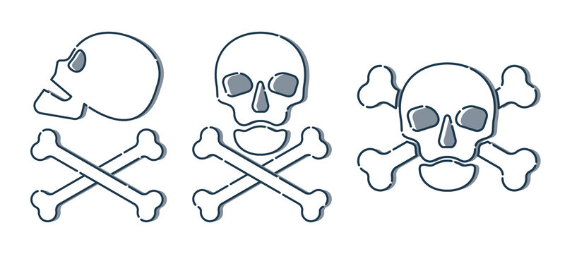 Human skull in side and full face view and crossbones on white background. Isolated illustration in flat style. Poison sign and symbol for design. An image of danger to humans. Icon of hazard to life
