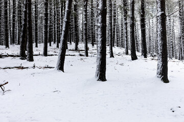 Winter landscape on the Aiako Harriak Natural Park at the Basque Country.