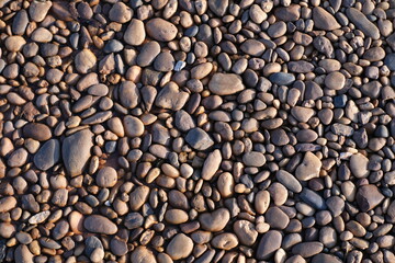 Different colorful pebbles on the floor for background.