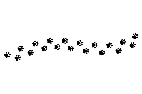 Paw vector foot trail print on white background.vector cat or Dog, path pattern animal tracks, isolated on white background