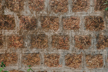 Obraz premium wall of square brown bricks