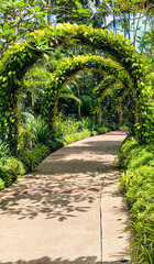 a romantic beautiful walkway in the park with all green flowers