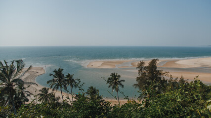 seascape with sand and palm trees