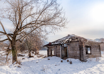 Abandoned wooden house in a village in Mountain Altai, Russia