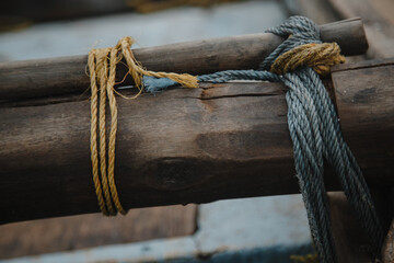 tree with ropes for local fishermen