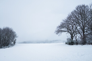Dark snowfield  with trees on both sides and a lot of emty space. Horizontal Image