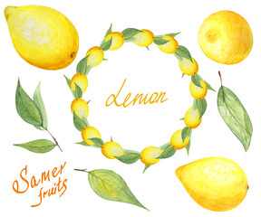 Watercolor Lemon Clipart Set,Hand Painted Clip Art