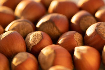Close up of Hazelnut kernels - Food Frame Background