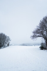 Dark snowfield  with trees on both sides and a lot of emty space. Vertical Image
