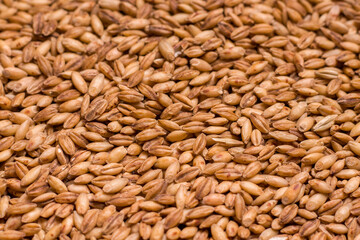 Wheat oat texture close up