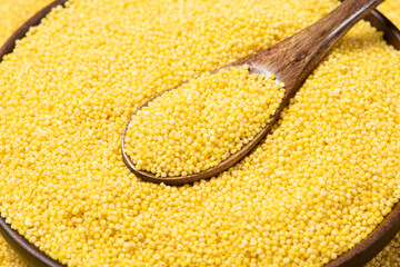  Raw Organic Healthy Millet in Spoon