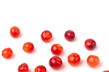 Nanking or felted cherry fruits, isolated on  white background