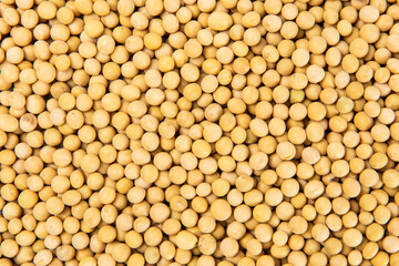 close up of dried soybeans background