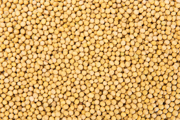 close up of dried soybeans background