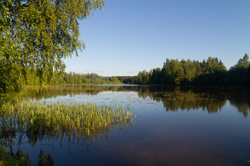 Fototapeta na wymiar Beautiful landscape of a small quiet river in summer in the European part of Russia.