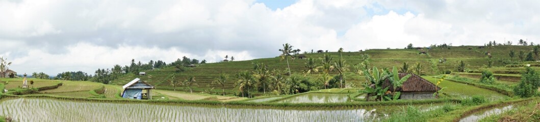 Fototapeta na wymiar Beautiful panoramic landscape of Jatiluwih Rice Terraces in Bali, Indonesia